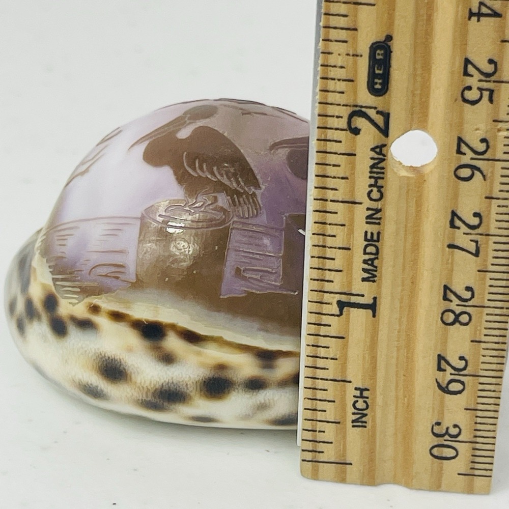 Vintage Seal Key Largo Souvenir Carved Tiger Cowrie Shell - Picture 8 of 12